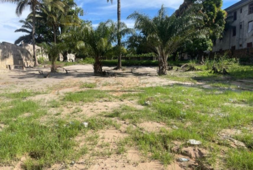 Acheter un terrain en RDC : tout ce qu'il faut savoir article de nouvelles Business – Dernier article de nouvelles