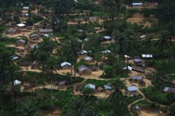 Amnesty International demande à la RDC de cesser son soutien au CMC-FDP article de nouvelles etranger – Dernier article de...