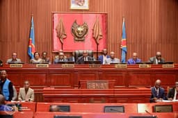 Le Sénat adopte la loi référendaire proposée par Paul Gaspard Ngondankoy article de nouvelles politics – Dernier article d...