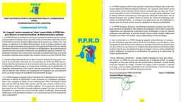 Le PPRD dénonce les propos du chef de l'État lors d'un événement sportif article de nouvelles politics – Dernier article d...