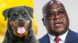 Houston : le discours métaphorique de Félix Tshisekedi suscite un débat national article de nouvelles politics – Dernier a...